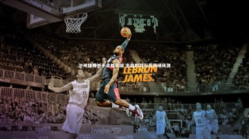 南宫28|沧州雄狮憾平成都蓉城 主裁判罚引发赛场风波